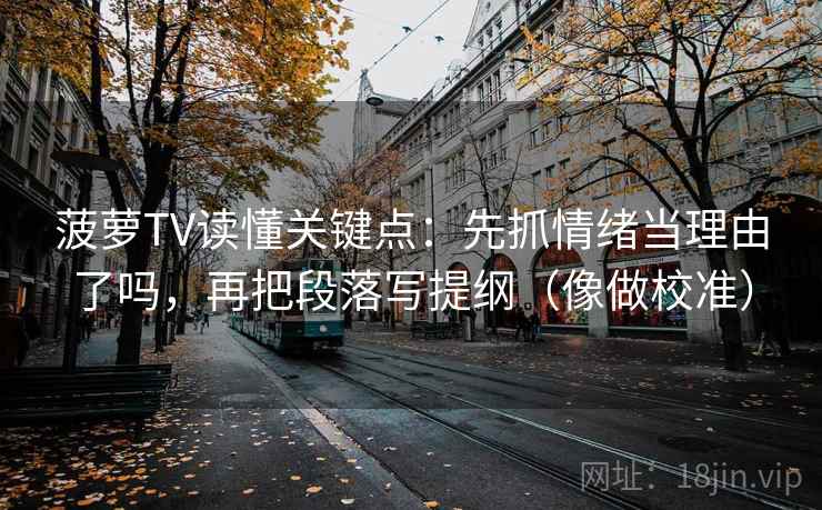 菠萝TV读懂关键点:先抓情绪当理由了吗,再把段落写提纲(像做校准)